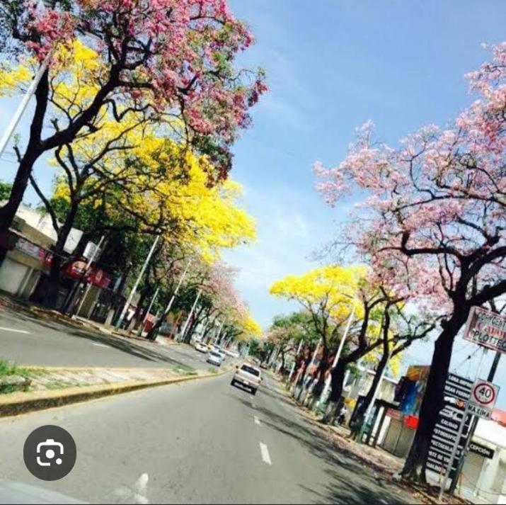 Posada Maria Elvia Villahermosa Dış mekan fotoğraf